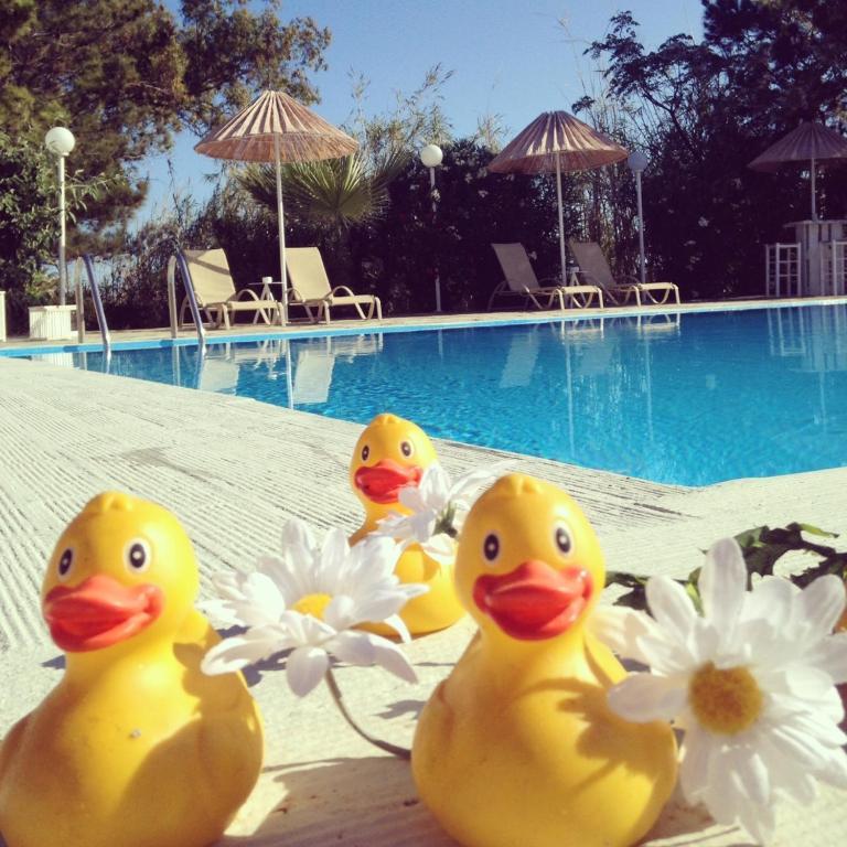 Home Hotel (Adults Only) خيرسونِسوس الغرفة الصورة